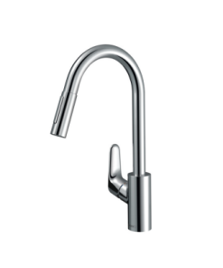 Focus Single Lever Kitchen Mixer with Pull-Out Spray