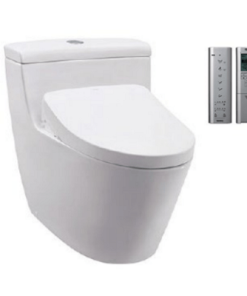 One Piece Toilet with Washlet & Concealed System